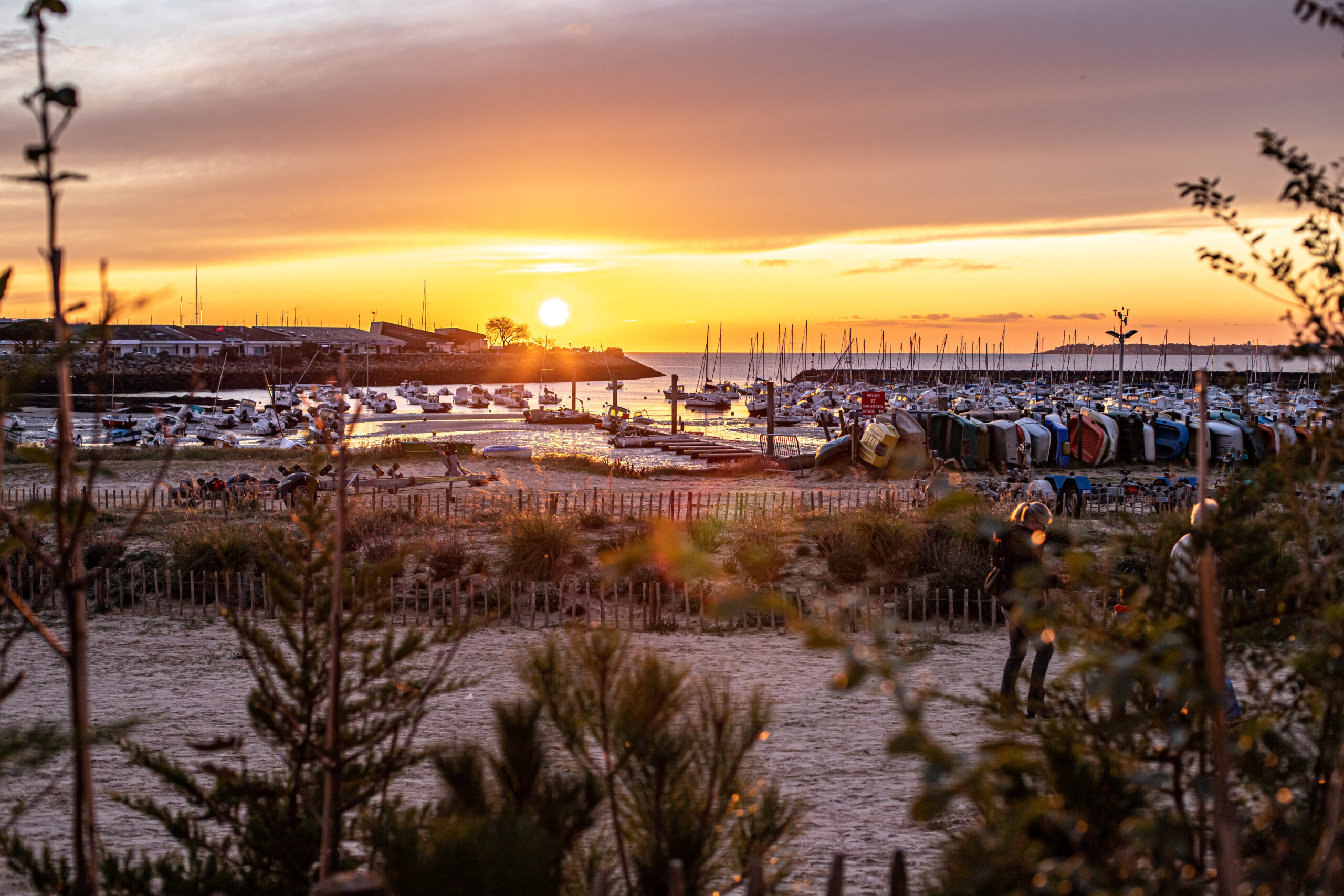 Vue de pornichet - spectacle révélation au cabaret de la côte d'amour été 2026