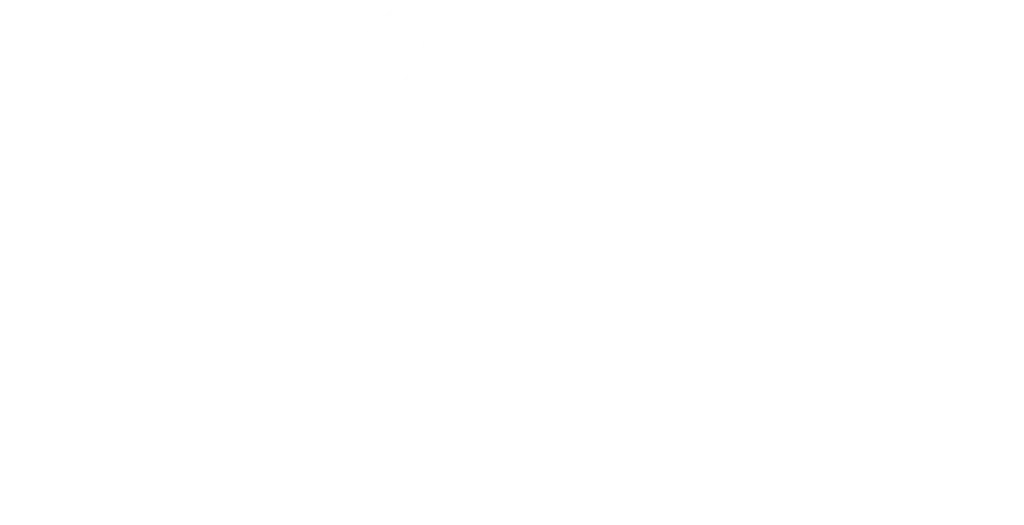 Logo partenaire flaneurz